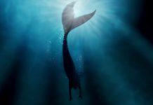 Sirenele: Secretul puterii in cantecul lor captivant care a vestit moartea